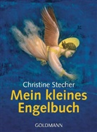 Christine Stecher - Mein kleines Engelbuch