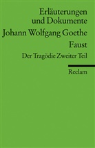 Ulrich Gaier, Johann Wolfgang von Goethe, Ulrich Gaier - Johann Wolfgang Goethe 'Faust', Der Tragödie Zweiter Teil