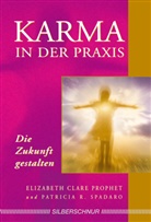 Elizabeth Clare, Elizabeth Cl. Prophet, Elizabeth Clare Prophet, Patricia R Spadaro, Patricia R. Spadaro - Karma in der Praxis