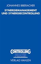 Johannes Biberacher - Synergiemanagement und Synergiecontrolling