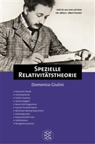 Domenico Giulini - Spezielle Relativitätstheorie