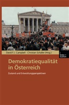 David F Campbell, David F Campbell, David F. J. Campbell, David F.J. Campbell, Davi F J Campbell, David F J Campbell... - Demokratiequalität in Österreich
