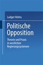 Ludger Helms - Politische Opposition