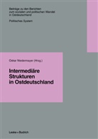 Oska Niedermayer, Oskar Niedermayer - Intermediäre Strukturen in Ostdeutschland