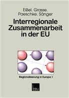 Diete Eissel, Dieter Eißel, Alexande Grasse, Alexander Grasse, Björn Paeschke, Björn u Paeschke... - Interregionale Zusammenarbeit in der EU