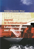 Dietma Sturzbecher, Dietmar Sturzbecher - Jugend in Ostdeutschland: Lebenssituationen und Delinquenz