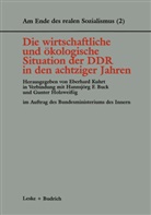 Eberhard;Holzweissig Kuhrt, Hannsjörg F. Buck, Bundesministerium d. Innern, Hannsjör F Buck, Hannsjörg F Buck, Gunter Holzweißig... - Die wirtschaftliche und ökologische Situation der DDR in den 80er Jahren
