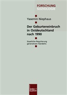 Yasemin Niephaus - Der Geburteneinbruch in Ostdeutschland nach 1990
