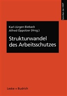Alfred Oppolzer, Karl J Bieback, Karl-Jürge Bieback, Karl-Jürgen Bieback, Oppolzer, Oppolzer... - Strukturwandel des Arbeitsschutzes