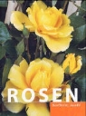 Karlheinz Jacobi - Rosen