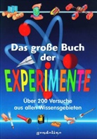Das große Buch der Experimente