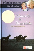 Sibylle L Binder, Sibylle L. Binder, Sibylle Luise Binder - Pferdeparadies Weidenhof - Bd.8: Pferdeparadies Weidenhof - Geisterritt im Mondschein