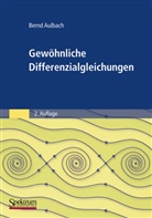 Bernd Aulbach - Gewöhnliche Differenzialgleichungen