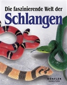 Johan Marais - Die faszinierende Welt der Schlangen