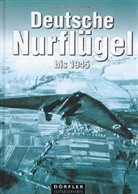 Hans-Peter Dabrowski - Deutsche Nurflügel bis 1945