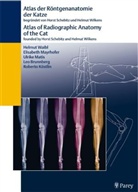 Leo Brunnberg, Roberto Köstlin, Ulrike Matis, Ulrike u Matis, Elisabet Mayrhofer, Elisabeth Mayrhofer... - Altas der Röntgenanatomie der Katze. Altas of the Radiographic Anatomy of the Cat