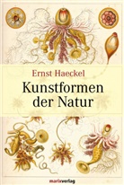 Ernst Haeckel, Ernst (Prof. Dr.) Haeckel, Ernst Heinrich Haeckel - Kunstformen der Natur
