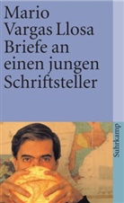 Vargas Llosa, Mario Vargas Llosa - Briefe an einen jungen Schriftsteller