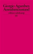 Giorgio Agamben - Ausnahmezustand