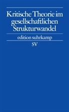 Joachim Beerhorst, Ale Demirovic, Alex Demirovic, Michael Guggemos - Kritische Theorie im gesellschaftlichen Strukturwandel