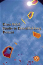 Klaus Böldl - Studie in Kristallbildung