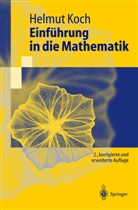 Helmut Koch - Einführung in die Mathematik