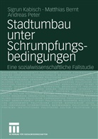 Matthia Bernt, Matthias Bernt, Sigru Kabisch, Sigrun Kabisch, Andreas Peter - Stadtumbau unter Schrumpfungsbedingungen