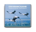 Jürgen Reich - Ein Kranichjahr in Mecklenburg-Vorpommern