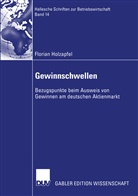 Florian Holzapfel - Gewinnschwellen