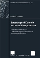 Christina Schaefer - Steuerung und Kontrolle von Investitionsprozessen