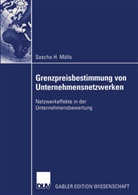 Sascha Mölls, Sascha H. Mölls - Grenzpreisbestimmung von Unternehmensnetzwerken