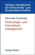 Alexander Gerybadze - Technologie- und Innovationsmanagement