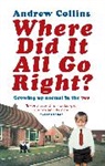 Andrew Collins - Where Did It All Go Right?