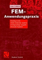 Peter Fröhlich - FEM-Anwendungspraxis