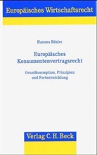 Hannes Rösler - Europäisches Konsumentenvertragsrecht