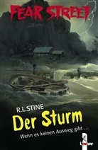 R. L. Stine, R.L. Stine, Robert L. Stine - Der Sturm