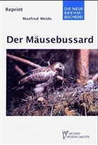 Manfred Melde - Der Mäusebussard
