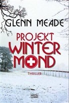 Glenn Meade - Projekt Wintermond