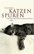 Detlef Bluhm, Isolde Ohlbaum - Katzenspuren