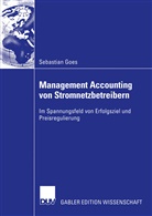 Sebastian Goes - Management Accounting von Stromnetzbetreibern