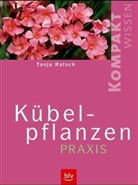 Tanja Ratsch - Kübelpflanzen-Praxis