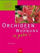 Jörn Pinske - Orchideen für die Wohnung