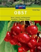 Christel Rupp - Obst