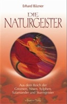 Erhard Bäzner - Die Naturgeister