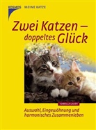 Isabella Lauer - Zwei Katzen - doppeltes Glück