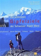 David Coulin, Peter Donatsch - Die schönsten Gipfelziele der Schweizer Alpen West