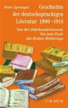 Peter Sprengel, Pete Sprengel, Peter Sprengel - Geschichte der deutschen Literatur von den Anfängen bis zur Gegenwart - 9/2: Geschichte der deutschen Literatur  Bd. 9/2: Geschichte der deutschsprachigen Literatur 1900-1918