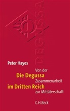 Peter Hayes - Die Degussa im Dritten Reich