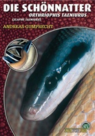 Andreas Gumprecht - Die Schönnatter