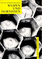 Friedrich Schremmer, Friedrich (Univ. Prof. Dr.) Schremmer - Wespen und Hornissen